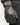 Gants ITEM