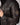 Cuir BATTLE DITY