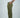#couleur_khaki